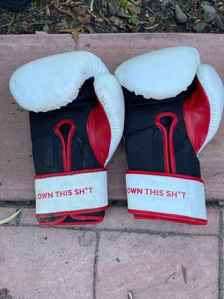 Photo of free Boxing gloves (Sunnyvale) #2