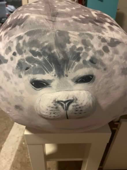 Photo of free Very large soft toy seal (Fairfield Park) #1