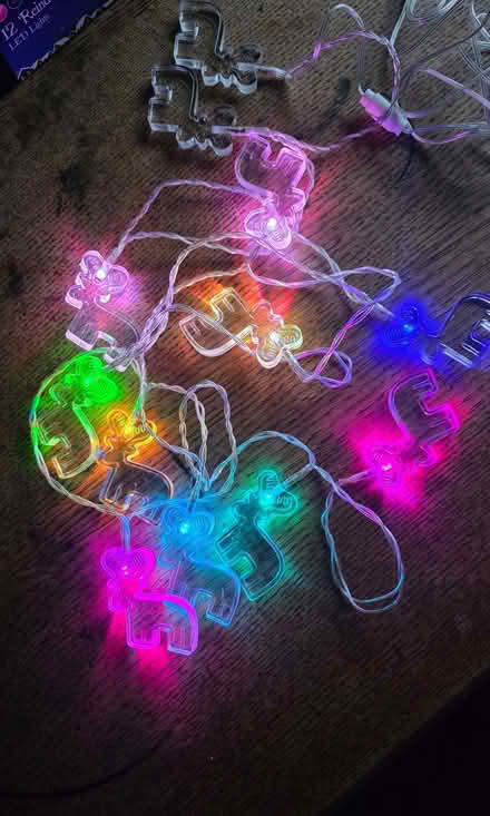 Photo of free Reindeer Colour changing Fairy Lights (Horsley GL6) #1