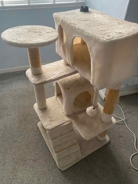 Photo of free Cream Cat Tower (Bontnewydd LL55) #1