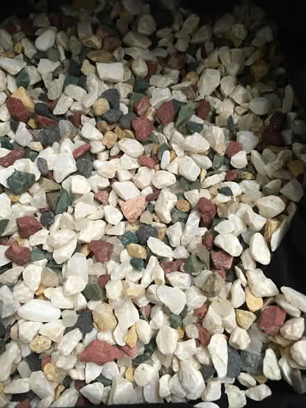 Photo of free Fish tank/ decorative stones (Near Old Street Station) #1