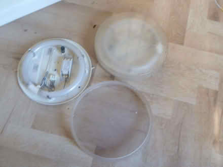 Photo of free Two round fluorescent celing lights (IP12) #2