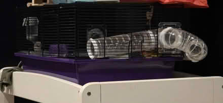Photo of free Hamster cage (Lower sydenham) #1