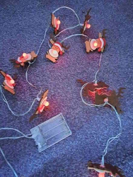 Photo of free Battery operated Christmas Reindeer Lights (Harefield SO19) #2