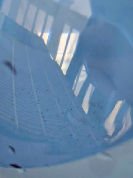 Photo of free Humidifier (San Jose) #2