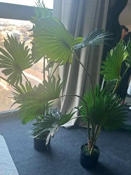 Photo of free 2 Decorative faux plant (Croydon CR0) #1