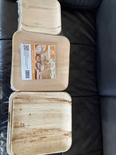 Photo of free 60 bamboo food platters and plates (Kew TW9) #1