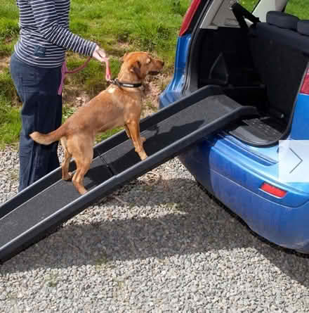 Photo of Dog Ramp (Fordham Heath CO3) #1