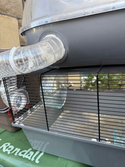 Photo of free Hamster cage (Clifton Wood BS8.) #2