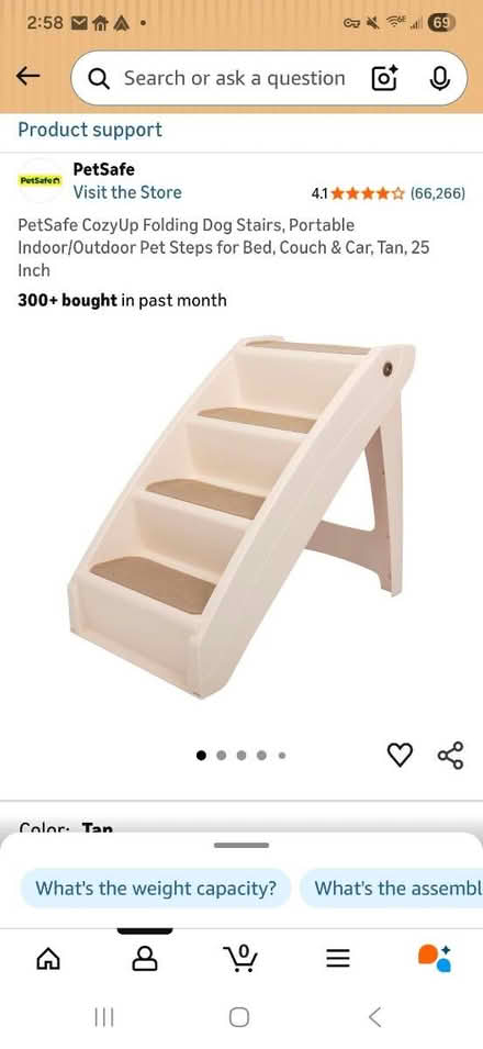 Photo of free Doggie Stairs (River Road Merrimac) #1