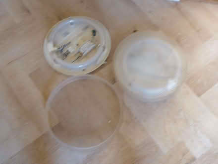 Photo of free Two round fluorescent celing lights (IP12) #1