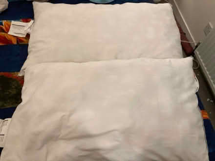Photo of free 2 x IKEA pillows (Liberton EH16) #1