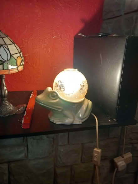 Photo of free Strange Frog Lamp (DA10) #1