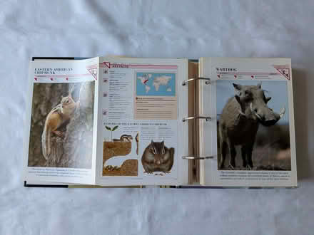 Photo of free Wildlife Fact-file (Downend BS16) #2