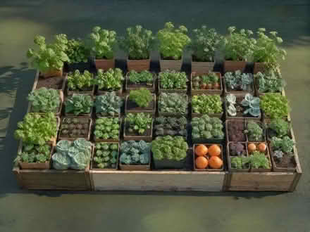 Photo of any type of gardening material, veg boxes, paving slabs, too (Riverfield MK41) #1