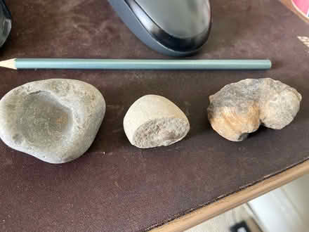 Photo of free A few fossils (Alcester Lanes End B14) #3