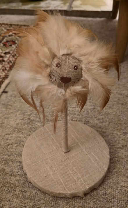 Photo of free Cat Toy (Ramsey) #1