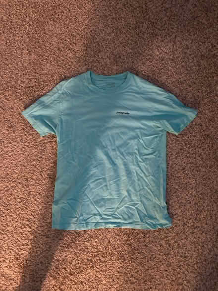 Photo of free L Patagonia Shirt (lisle, il) #1
