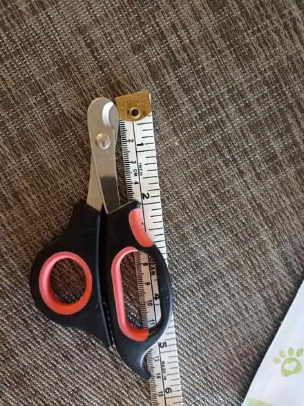 Photo of free New dog nail clippers with file (Romford RM1) #1