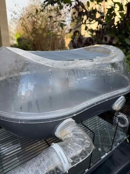 Photo of free Hamster cage (Clifton Wood BS8.) #3
