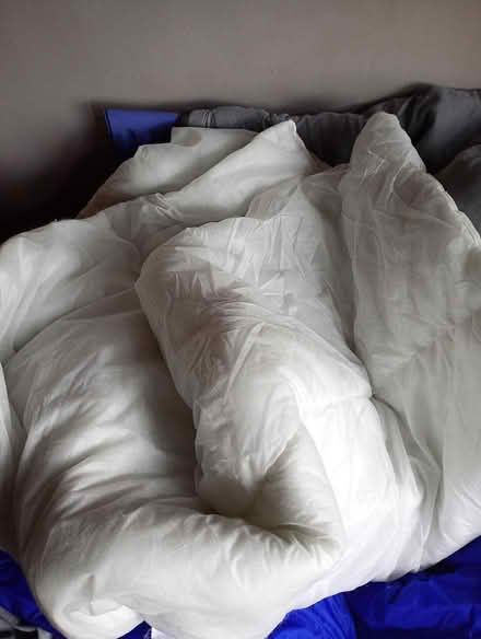 Photo of free 13.5 tog duvet (Sherwood NG5) #1