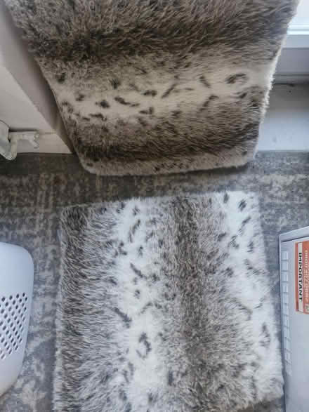 Photo of free Cusions (Hanworth RG12) #1