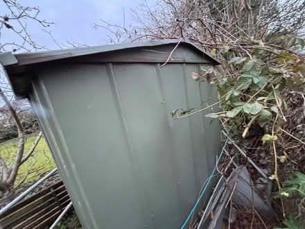 Photo of free metal shed (Puckeridge SG11) #3