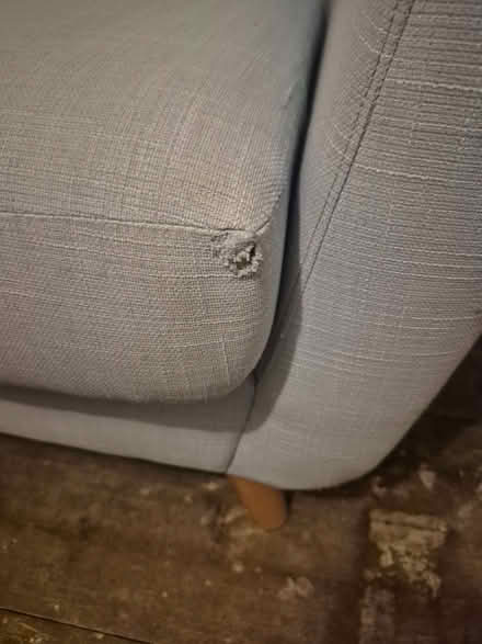 Photo of free Mushroom Lshape sofa and light blue sofa (Rochester ME1) #3