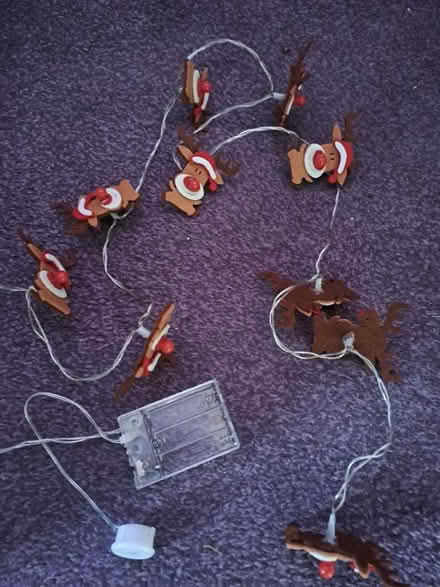 Photo of free Battery operated Christmas Reindeer Lights (Harefield SO19) #1