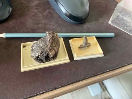 Photo of free A few fossils (Alcester Lanes End B14) #1