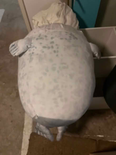 Photo of free Very large soft toy seal (Fairfield Park) #3