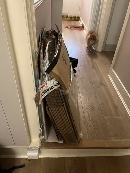 Photo of free New flat packed boxes for moving (Acton/Askew Road) #1