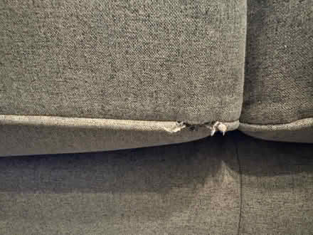 Photo of free Next sofa x 2 (Havant PO9) #4