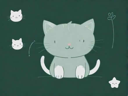 Photo of Kitten/cat items (Birch Green WR8) #1