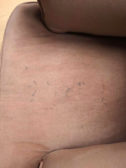 Photo of free Pink low chair (Ardingly RH17) #3