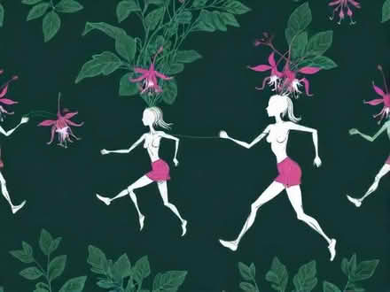 Photo of free Bare rooted runners of cape fuchsia plant (Shirley CR0) #1