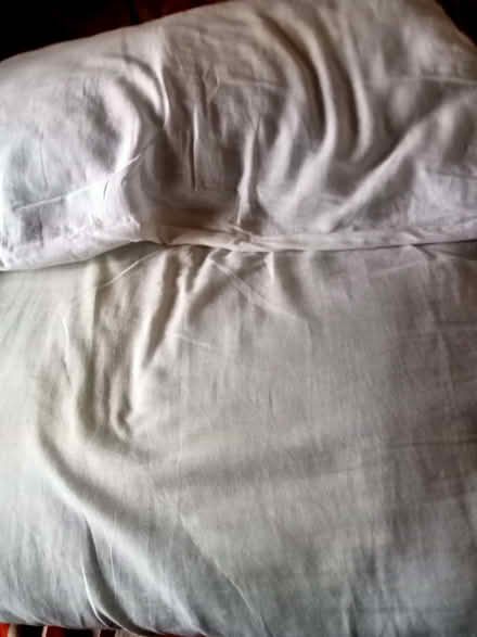 Photo of free 2 pillows (Polegate BN26) #1