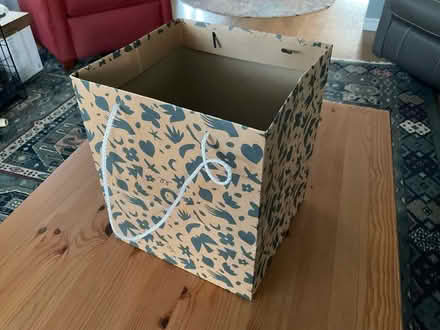 Photo of free Square gift bag (Alameda) #1