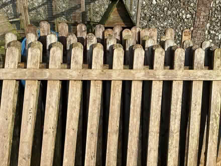 Photo of free Fencing panels (Lewes Nevill area) #2