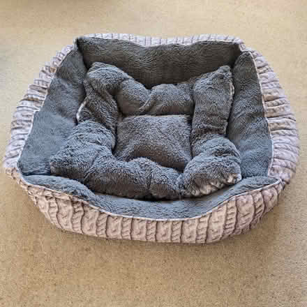 Photo of free Dog Bed (CT6) #1