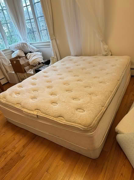 Photo of free Queen size mattress and box (Arlington Center) #1