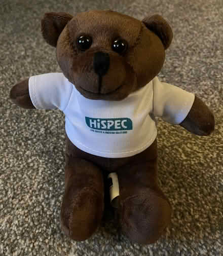 Photo of free Small Teddy (Great Hollands RG12) #1