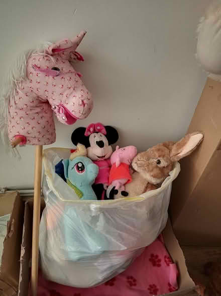Photo of free Lots of Soft toys (Dukinfield SK16) #4