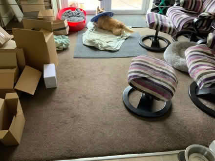 Photo of free Brown carpet (Waterlooville PO7) #1