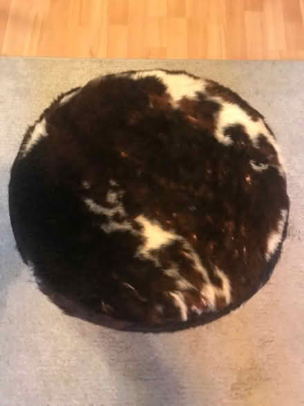 Photo of free Cowhide print pouffe (SE8 Deptford) #3