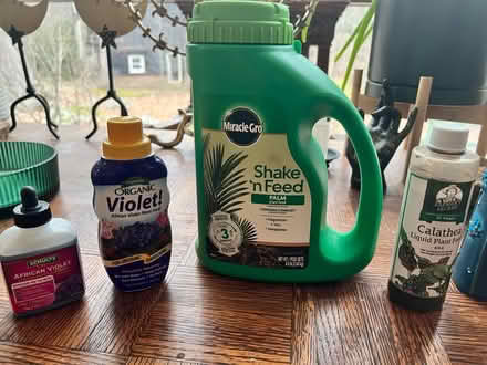 Photo of free Plant food (N. Stamford) #1