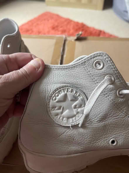 Photo of free Converse (Kenilworth CV8) #1