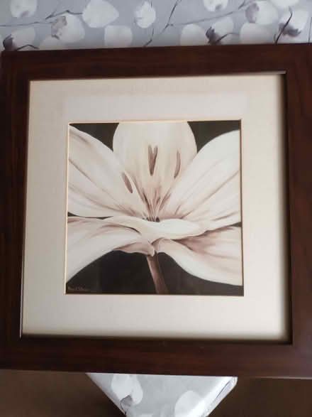 Photo of free Flower picture (Franche DY11) #1