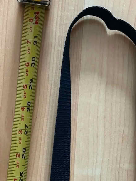 Photo of free Crossbody purse - small (L5L 5P5) #3