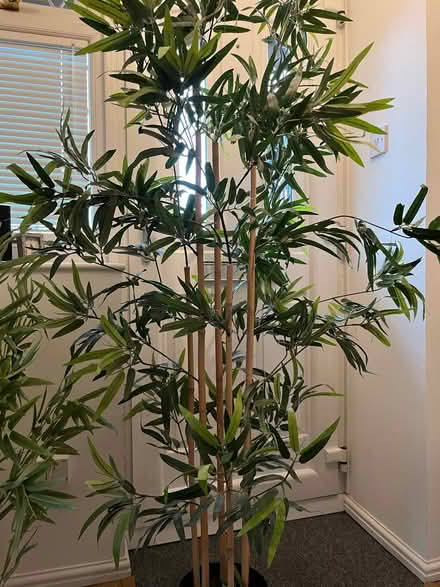 Photo of free Artificial plants (The Triangle Estate RH15) #3
